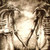 :icondas-moose: