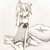 :icondasha4028: