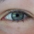 :icondashboard4life:
