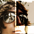 :icondashness:
