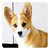 :icondashyperson:
