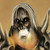 :icondask1613: