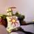 :icondatabase379: