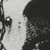 :icondatatragedy: