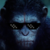 :icondatdamndirtyape: