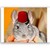 :icondatdoctorwhogurl:
