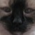 :icondatenshi69: