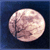 :icondaughterofmoonlight: