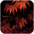 :icondave-d: