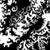 :iconDavebrowne: