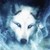 :icondavedgard:
