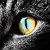 :icondaveebsworth:
