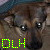 :icondavelindsayhayley: