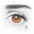 :icondaveorn: