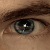 :icondavid-grant: