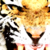 :icondavid2142: