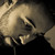 :icondavidekent: