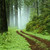 :icondavidkashfi: