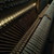 davidmilesmusic :icondavidmilesmusic: