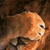 :iconDavidPaulo: