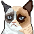 :icondavidsavu98: