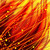 :icondavidtalevskii: