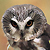 :icondavidthorne73: