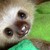 DavidWhiteRock27 :icondavidwhiterock27: