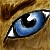 :icondavin2204: