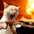 :icondawiddejager: