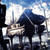 :icondawn-17: