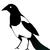 :icondawn-break: