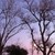 dawn-dreamer :icondawn-dreamer: