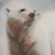 :iconDawnloire: