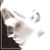 :icondawnpatrol: