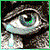 :icondawns13: