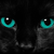 :icondawnshadow1170: