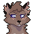 :icondawnshadow16: