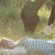 :icondawnshadowphotograph: