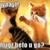 :icondawnshewolf: