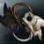 :icondawnsparda: