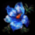:icondawnstar-wolf:
