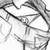:icondawnswan: