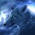 :icondawnwhisperer: