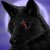 :icondawson10157:
