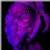 :icondaydream-analysis: