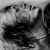 :icondaydreamdeath: