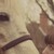 :icondaydreamequineart: