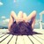 :icondaydreamer745: