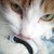 :icondaydreamingday: